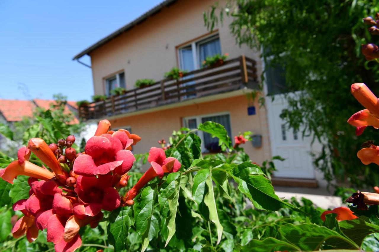 Apartman Dorijan Rakovica Bagian luar foto