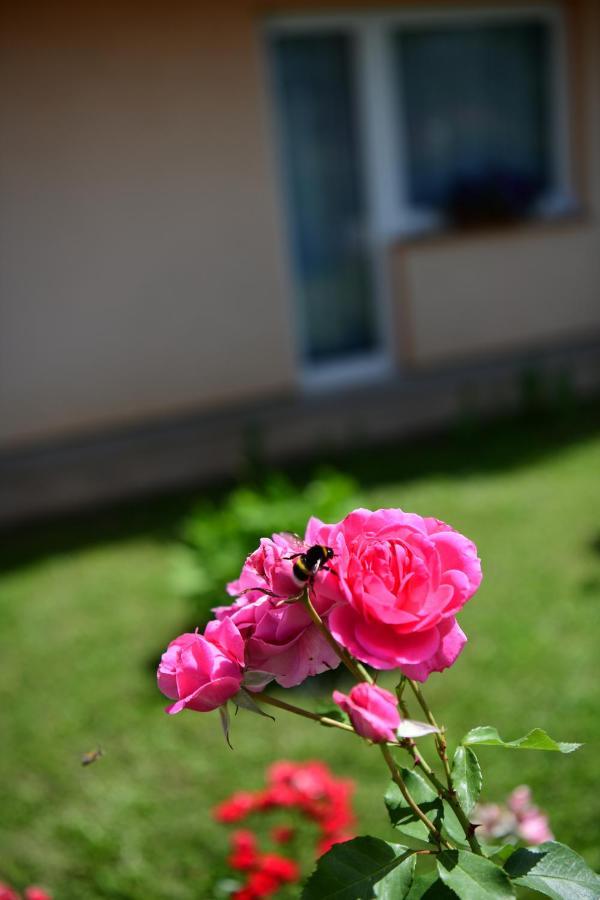 Apartman Dorijan Rakovica Bagian luar foto